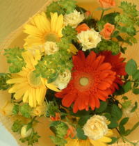 ����ԁ@���ԉԑ�/�r�^�~���J���[�u�[�P�k